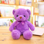 Custom Logo Teddy Bear Plush Toy